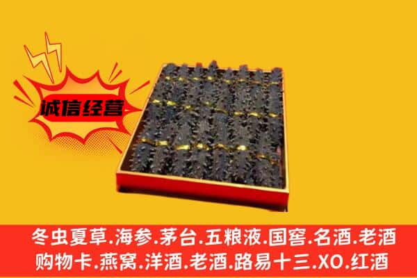 大兴安岭新林区回收海参